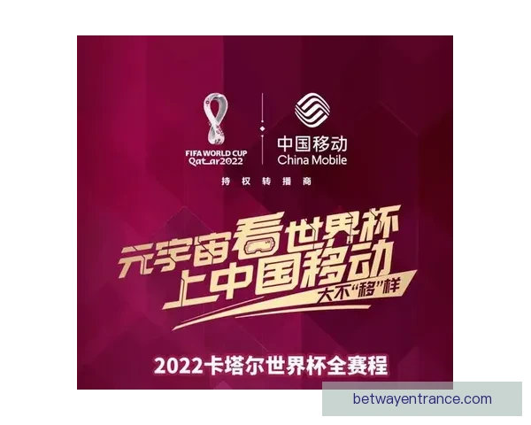 世界杯赛程深度解析与胜负趋势全面体育竞猜指南